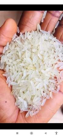 A picture of Nigerian Stonefree rice is available at good price