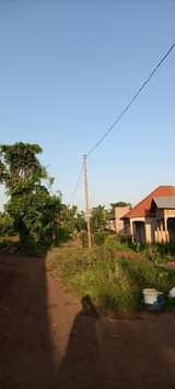 A picture of Electrical powerline Construction services