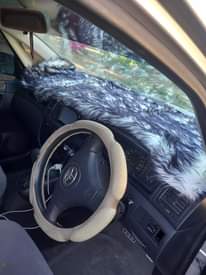 A picture of Spacio new model