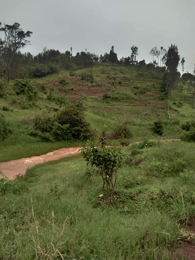 Lands &.