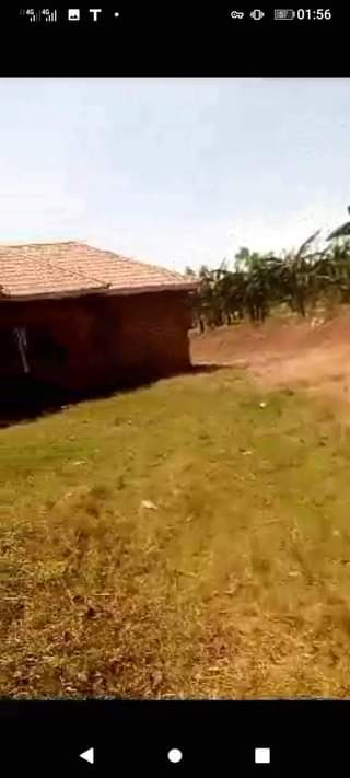 A picture of Big house seated two acres of land private mailo land
