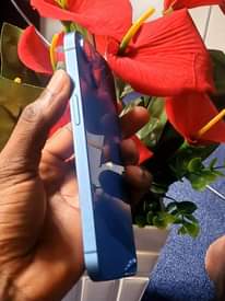 A picture of Iphone 13 plain