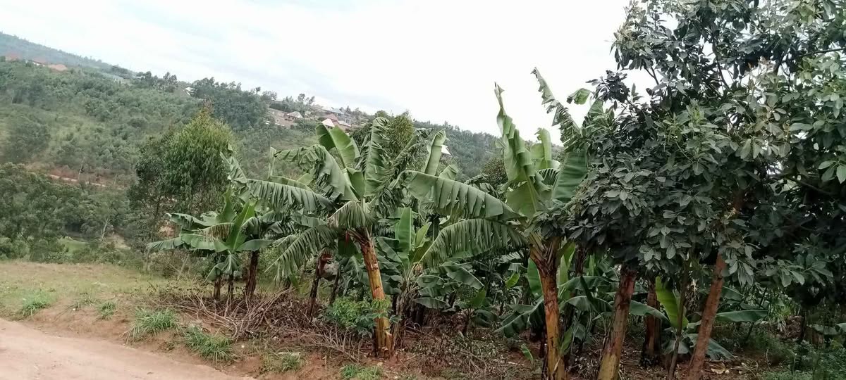 land