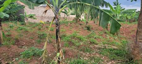 A picture of Land for sale in wakiso luggi
