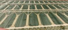 A picture of Woolen carpet and mosque carpets