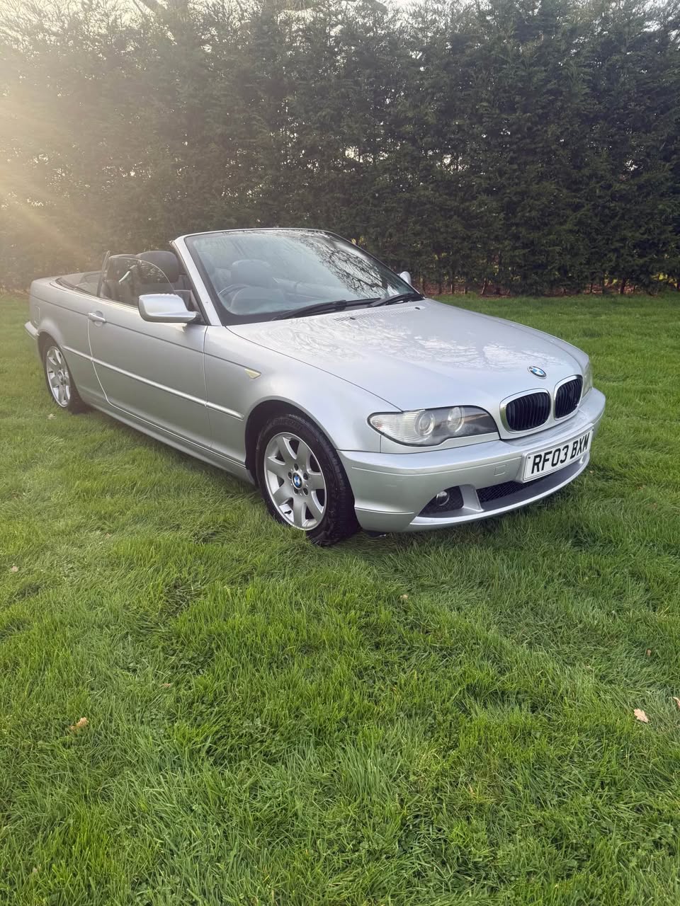bmw convertible