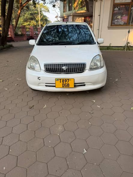 A picture of Vitz