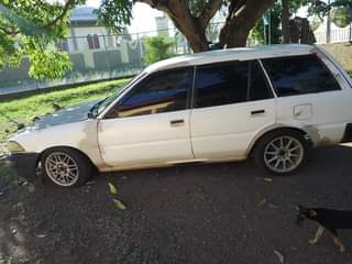 Rushane B.