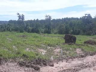 A picture of Plots for sale On Mitiyana Road