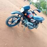 A picture of Boxer x new model Kali sana bei 8 80