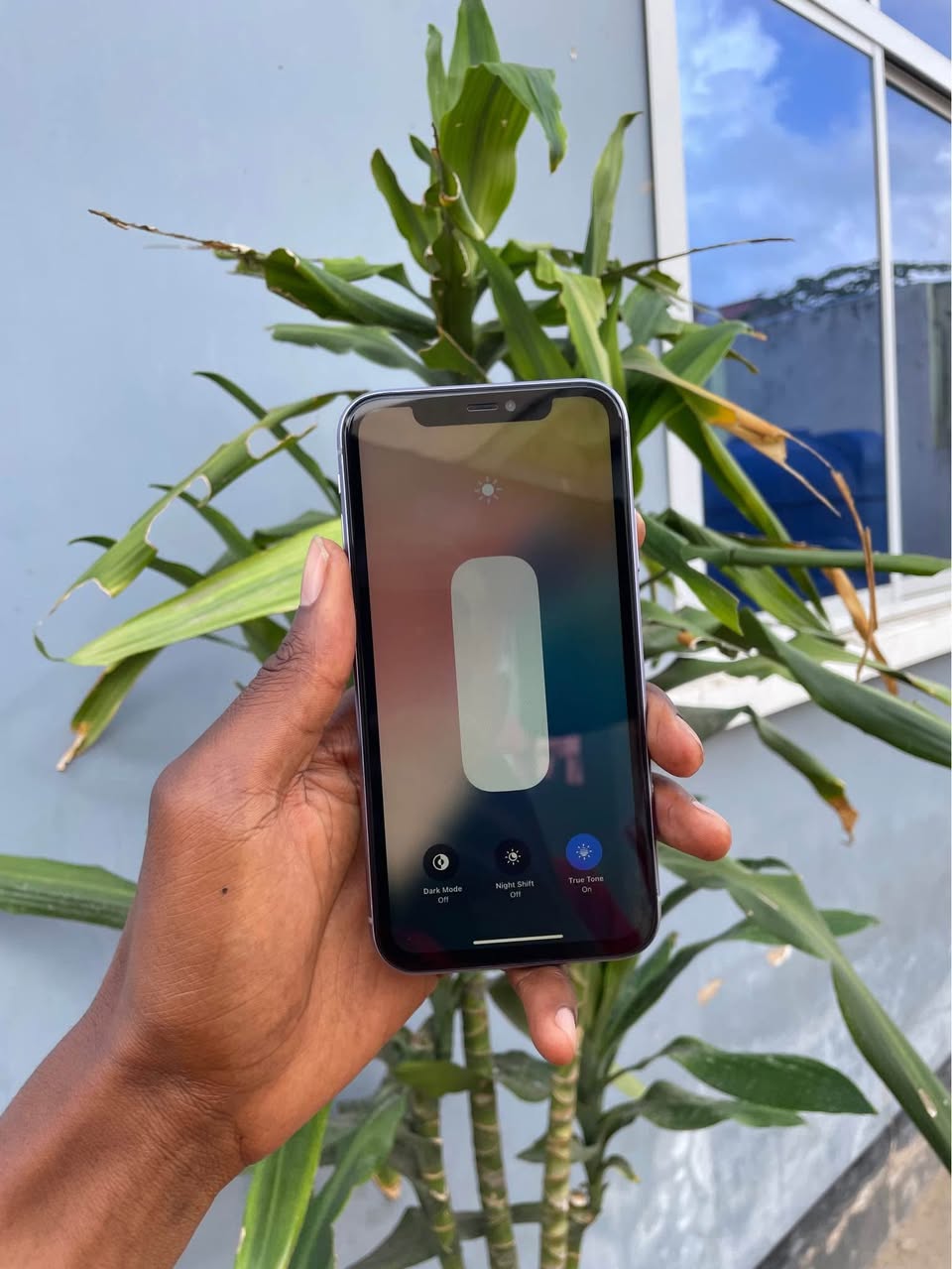 A picture of IPHONE 11 PLAIN Bei 380K 0621356024