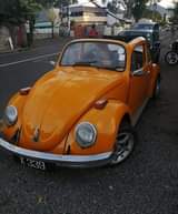 vw beetle