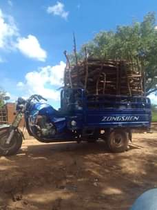 A picture of Tricycle number UFU