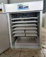 A picture of CHICKS INCUBATOR