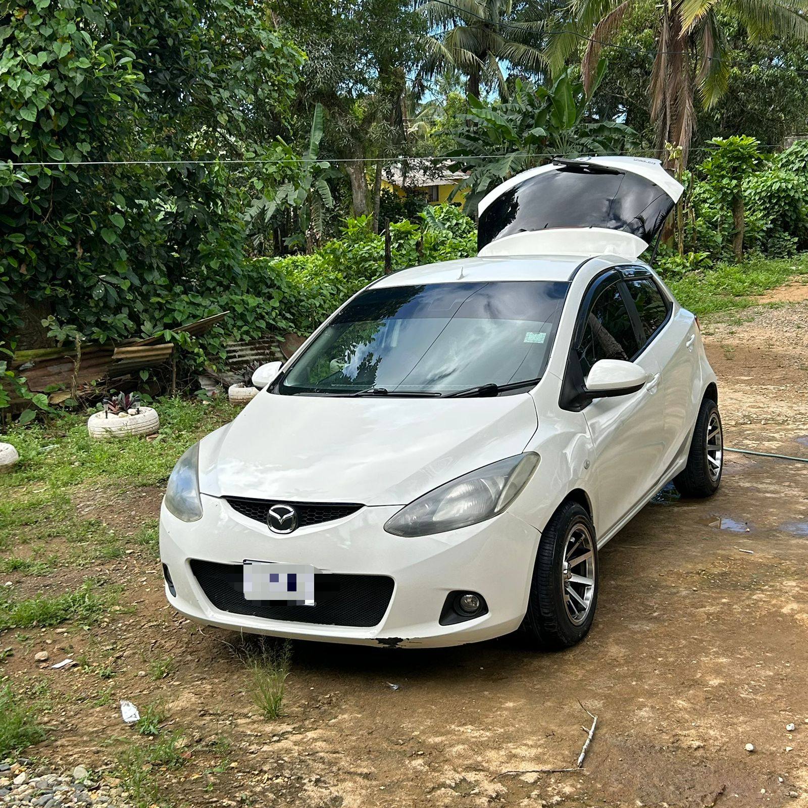 cars