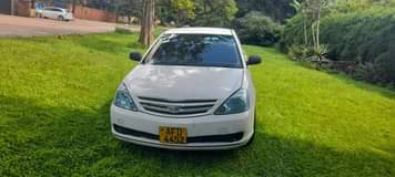 used toyota allion