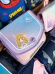 A picture of School bag
