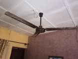 A picture of Ceiling fan