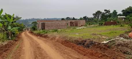 A picture of Cheap plots