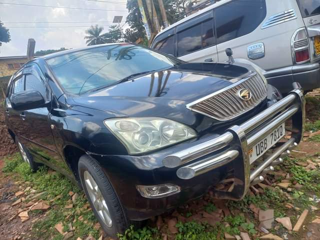 A picture of Harrier kawundo