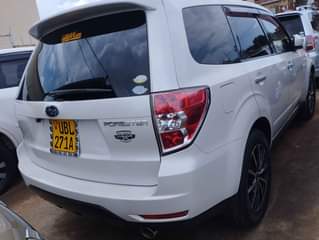 A picture of Forester 2008