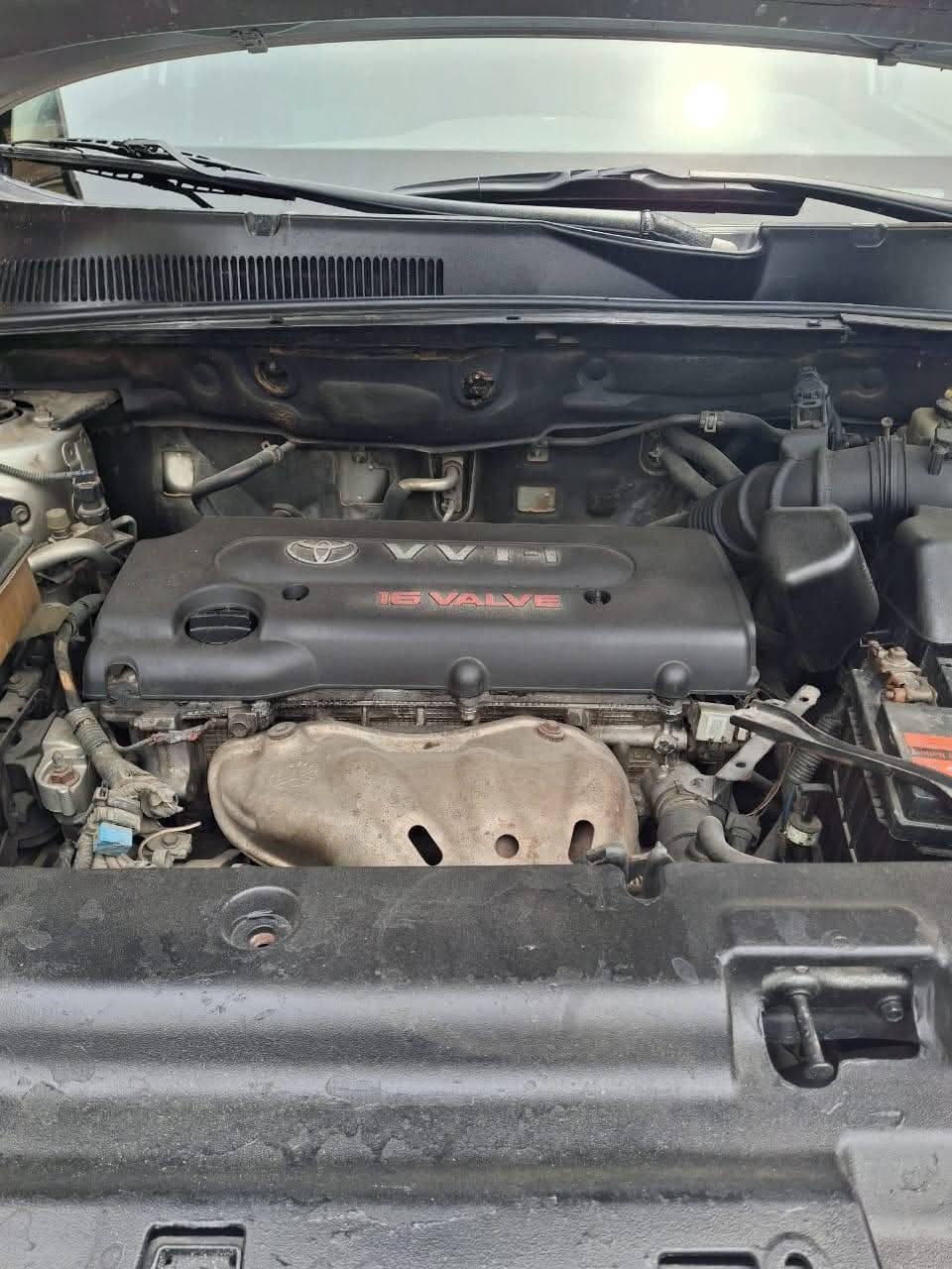 A picture of 2008 used Toyota RAV4.