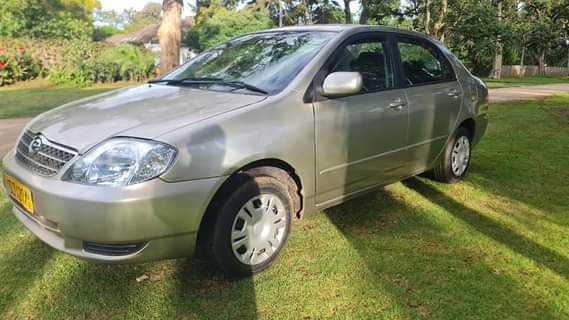 used toyota corolla