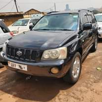 A picture of KLUGER 2004 21M
