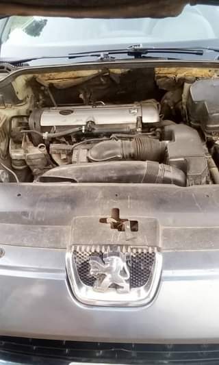 A picture of Peugeot 407 neat and clean
