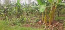 A picture of House 0709106274