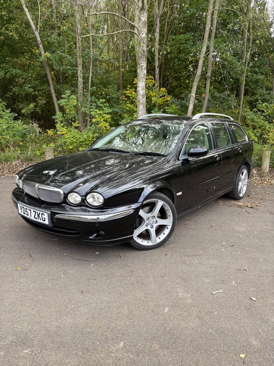 jaguar