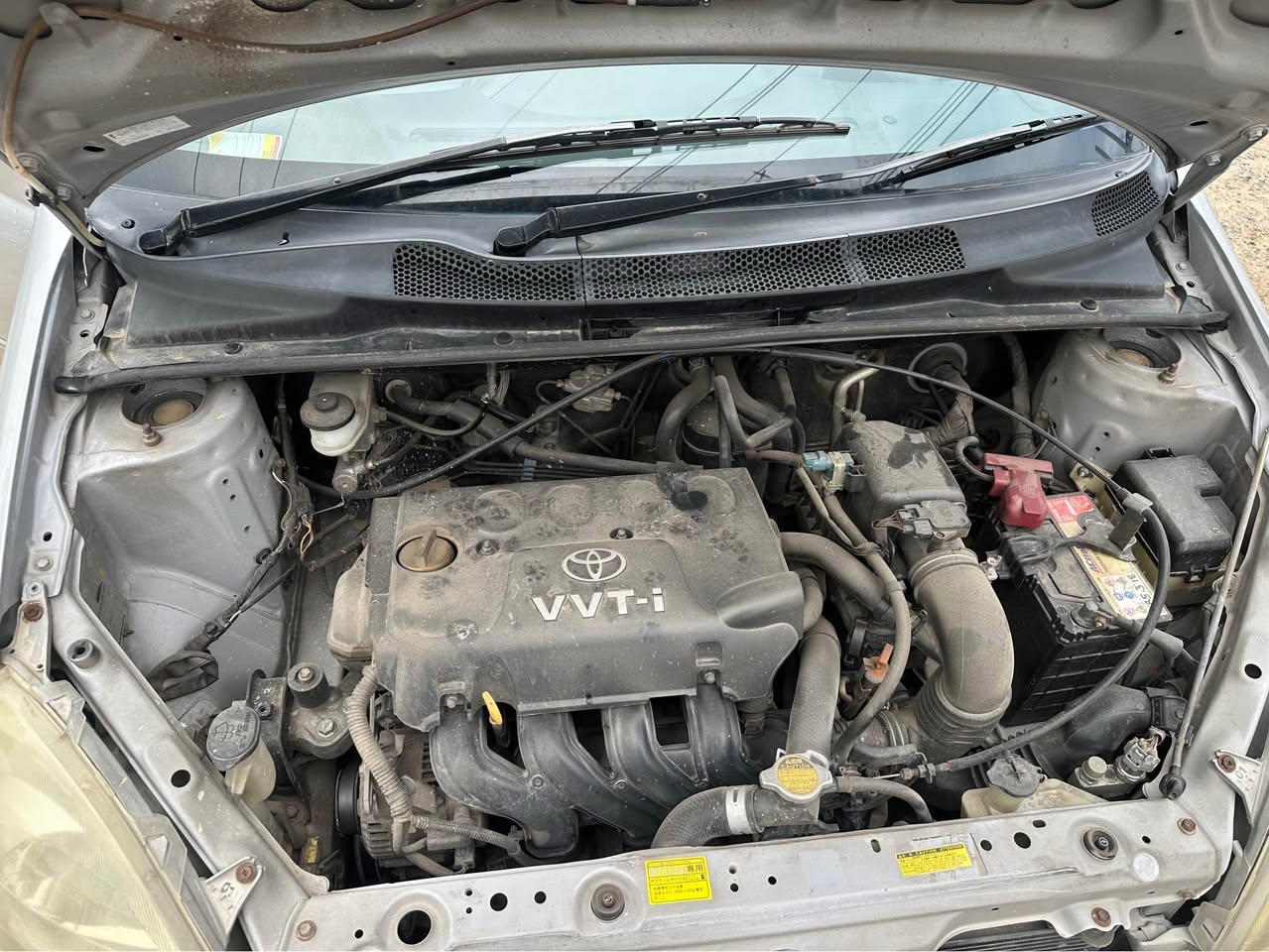 A picture of Vitz clavia