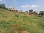 A picture of PLOTS