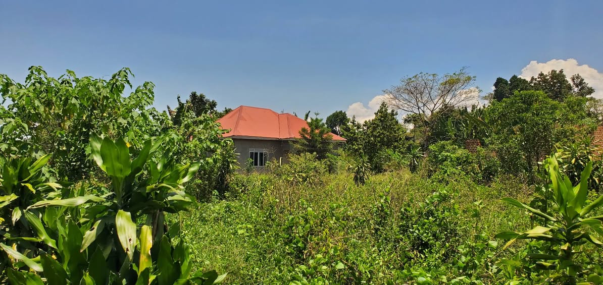 A picture of LOT FOR SALE MUKONO MAYANGAYANGA Size Price 50x100 ft 8M