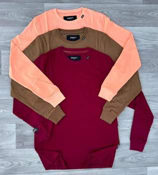 A picture of Long sleeved plain tee