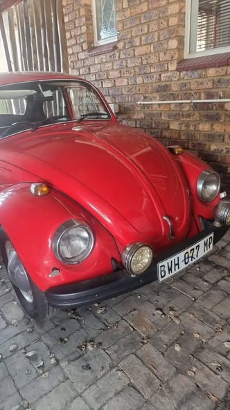 vw beetle