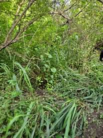 A picture of Shamba linauzwa lipo kiwangwa chalinze pwani