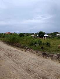 A picture of ENEO LINAUZWA MABWEPANDE SQM 800 BEI MILION 10