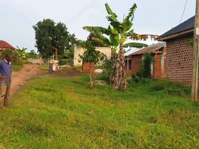 A picture of House on Quick sale at 13m negotiable located at kavule