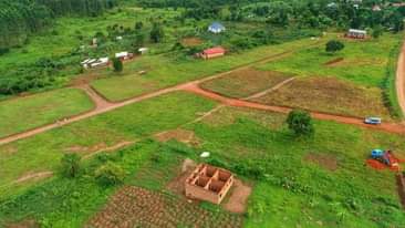 A picture of WAKISO NKOOWE HALF LONDON