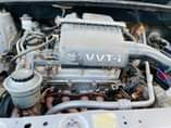 A picture of Vitz