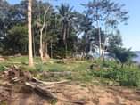 A picture of Land