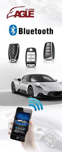 A picture of Car Alarms