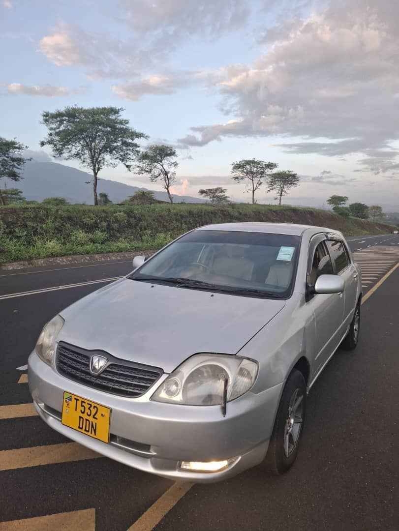 A picture of TOYOTA ALLEX