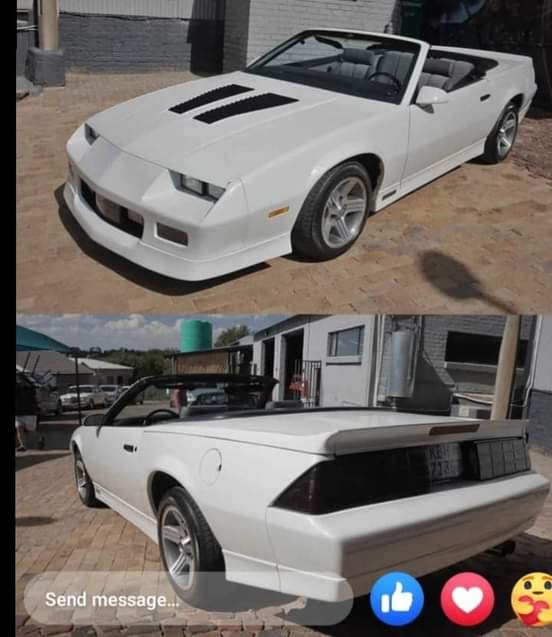 Classic,Muscle A.