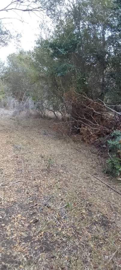 A picture of SHAMBA HEKA 60 KILA HEKA MOJA TSH 220 000 LIPO