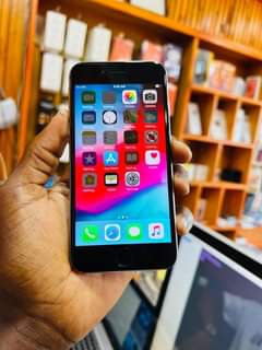 A picture of iPhone 6plain