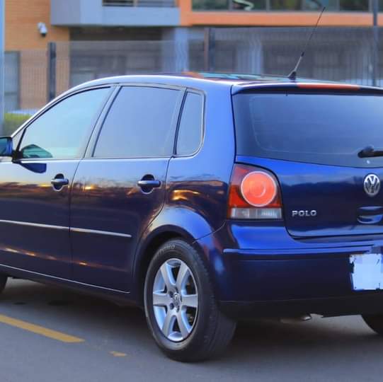A picture of Polo 5