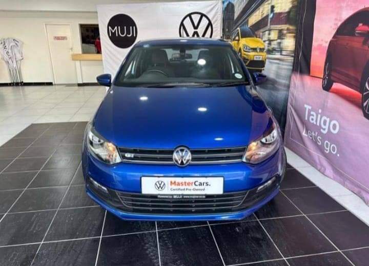 polo vivo