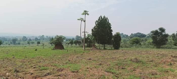A picture of LOCATED AT WAKISO GOBERO
